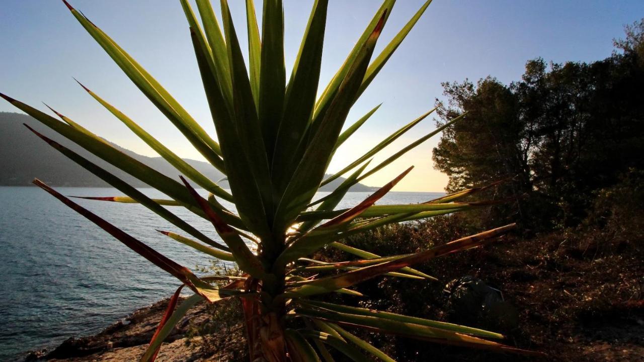 Holiday Home Bili Zal Vela Luka Eksteriør bilde