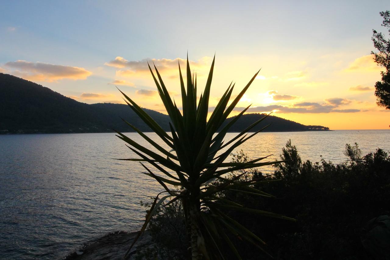Holiday Home Bili Zal Vela Luka Eksteriør bilde